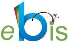 Boland Internet Services