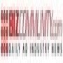 Biz Community Publishing South Africa (Pty )Ltd