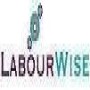 Bridge Labour Services