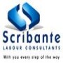 Scribante Labour Consultants