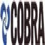 Cobra Watertech (Pty) Ltd