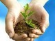 Business Engineering (Pty) Ltd