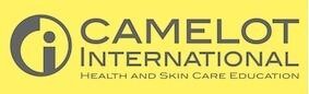 Camelot International (Pty) Ltd