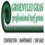 Groenvlei Grass