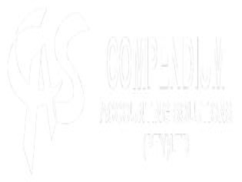Compendium Accounting Services