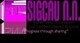 Sigcau NN Professional Accountants