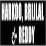 Harkoo Brijlal & Reddy