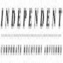 Independent Trustees (Pty) Ltd