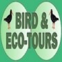 Bird & Eco-Tours