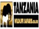 Tanzania Wildlife Safaris