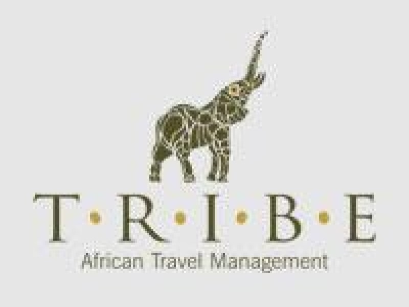 Tribe Communications Cc