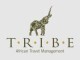Tribe Communications Cc