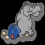 Hippo Water Roller