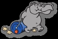 Hippo Water Roller