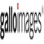 Gallo Images (Pty) Ltd