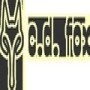 C D Fox CC