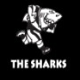 Kwazulu - Natal Rugby Union