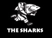 Kwazulu - Natal Rugby Union