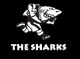 Kwazulu - Natal Rugby Union