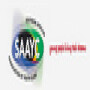 Southrand African Association Of Youth Clubs