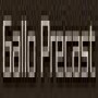 Gallo Precast