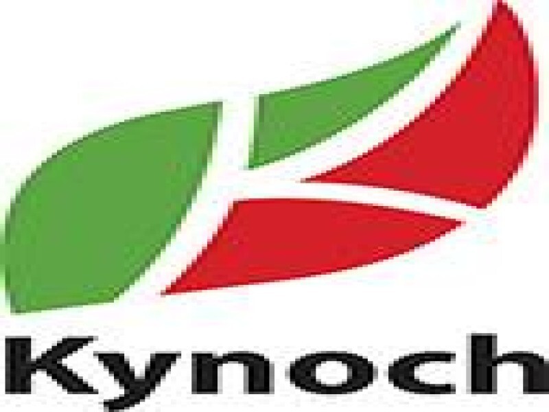 Kynoch Verteenwoordiger