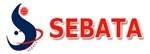 Sebata Municipal Solutions (Pty) Ltd