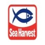 Sentinel Seafoods