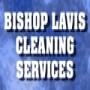 Bishop Lavis Cleaning Services