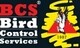 Bird Control Services:After hours