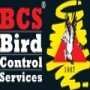 Bird Control Services