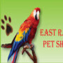 Birds & Pets For Africa