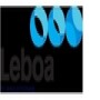 Leboa IT Solutions (Pty) Ltd