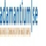 Adamantium Software Engineering