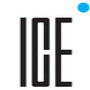 Ice Model Management