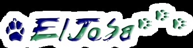 Eljosa Travel & Tours CC