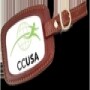 C C U S A