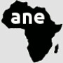 A N E Equipment Rental & Sales