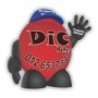 D I C Homes
