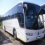 PEARL TRAVEL & TOURS CC