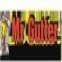 Mr Gutter