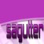 SA Gutters