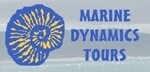 Marine Dynamics