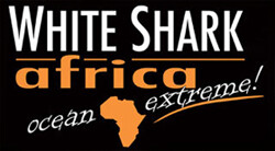 White Shark Africa