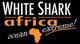 White Shark Africa