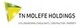 T N Molefe Consulting Services