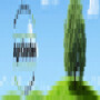 Agrigarden