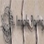 Impala Paving Projects
