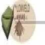Lowveld Canvas CC