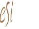 ESI Attorneys
